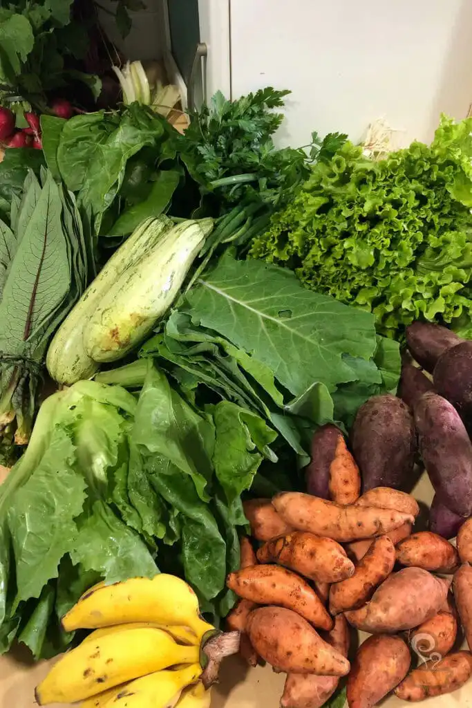 Alimentos saudáveis que não podem faltar no seu dia a dia - querocomidadeverdade.com