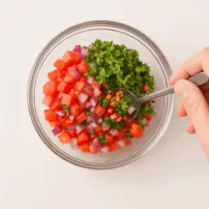 Tomate, cebola, coentro e pimenta sendo misturados em tigela com colher